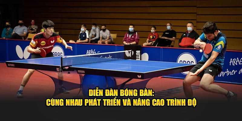 Diễn Đàn Bóng Bàn: Cùng Nhau Phát Triển Và Nâng Cao Trình Độ