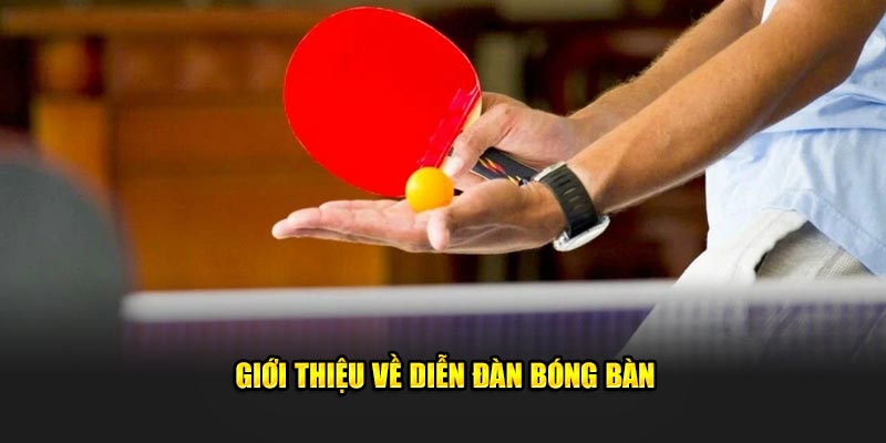 Giới thiệu về diễn đàn bóng bàn