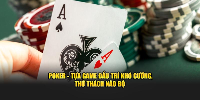 Poker - Tựa Game Đấu Trí Khó Cưỡng, Thử Thách Não Bộ